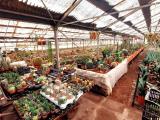 Particella, GIARRE, 229.000 €, 3000,00 mq