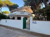 Casa, PULSANO, 300.000 €, 248,00 mq