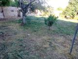 Particella, ROMA, 35.000 €, 900,00 mq