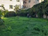 Affitto, Appartamento, SPOLETO, 400 €, 50,00 mq