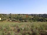 Particella, MONTAIONE, 70.000 €, 29000,00 mq