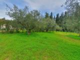 Particella, CALTAGIRONE, 110.000 €, 2300,00 mq