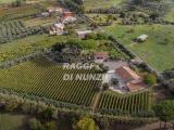 Casa, LANUVIO, 690.000 €, 630,00 mq