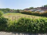 Particella, GOLASECCA, 80.000 €, 1190,00 mq