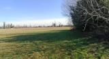 Particella, GESSATE, 50.000 €, 6400,00 mq