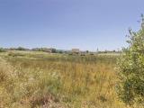 Particella, SELARGIUS, 19.000 €, 1046,00 mq