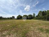 Particella, MARTELLAGO, 25.000 €, 3000,00 mq