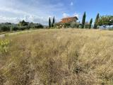 Particella, CASTIGLIONE DEL LAGO, 40.000 €, 750,00 mq