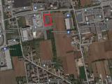 Particella, CASTELFRANCO VENETO, 470.000 €, 3601,00 mq