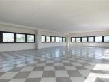Affitto, Superfici commerciali, GUIDONIA MONTECELIO, 1.400 €, 185,00 mq