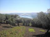 Particella, GUARDIALFIERA, 25.000 €, 7600,00 mq