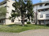 Superfici commerciali, SERIATE, 165.000 €, 129,00 mq