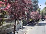 Appartamento, BOLOGNA, <i>A richiesta</i>, 300,00 mq