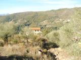 Particella, SEBORGA, 35.000 €, 1700,00 mq