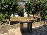 Casa, BASIGLIO, 350.000 €, 105,00 mq