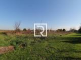 Particella, RAVENNA, 12.000 €, 1500,00 mq