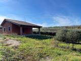 Affitto, Casa, BENEVENTO, 350 €, 50,00 mq