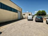 Superfici commerciali, CAPANNOLI, 148.000 €, 307,00 mq
