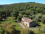 Particella, SUVERETO, 997.000 €, 372,00 mq