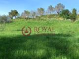 Particella, LIVORNO, Montenero, 40.000 €, 3200,00 mq