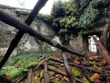 Particella, COLICO, 39.000 €, 115,00 mq