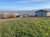 Particella, LANGHIRANO, 79.000 €, 2000,00 mq