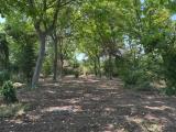 Particella, PAGO DEL VALLO DI LAURO, 110.000 €, 2100,00 mq