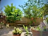 Appartamento, BOLOGNA, 240.000 €, 94,00 mq