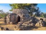 Particella, COLLEPASSO, 10.000 €, 30,00 mq