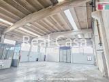 Affitto, Superfici commerciali, CAMPOGALLIANO, 4.000 €, 1170,00 mq