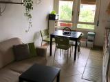 Affitto, Appartamento, FIRENZE, 850 €, 45,00 mq