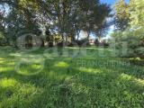 Particella, ANZIO, 198.000 €, 3817,00 mq