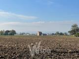 Casa, CESENA, 160.000 €, 156,00 mq
