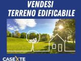 Particella, TRUCCAZZANO, 230.000 €, 1243,00 mq
