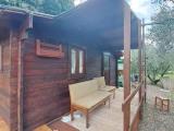Particella, GAVORRANO, 29.000 €, 2000,00 mq