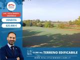 Particella, ZAGAROLO, 625.000 €, 13000,00 mq