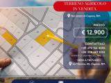 Particella, CAPENA, 12.900 €, 5000,00 mq