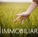 Particella, SAN GIULIANO TERME, 38.000 €, 4290,00 mq