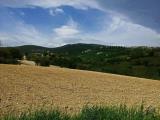 Particella, CINGOLI, 50.000 €, 31490,00 mq