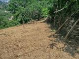 Particella, GIUSTENICE, 22.000 €, 420,00 mq