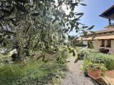 Superfici commerciali, CAPALBIO, 1.400.000 €, 360,00 mq