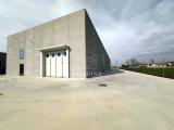 Affitto, Superfici commerciali, TREVIGNANO, 7.500 €, 1500,00 mq