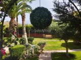 Affitto, Casa, MASCALUCIA, 1.300 €, 90,00 mq