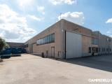 Affitto, Superfici commerciali, POVEGLIANO VERONESE, 3.000 €, 1175,00 mq