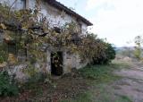 Casa, REGGELLO, 350.000 €, 600,00 mq