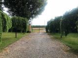 Casa, FAENZA, <i>A richiesta</i>, 250,00 mq