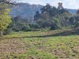 Particella, SEZZE, 38.000 €, 5000,00 mq