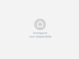 Particella, MANCIANO, 20.000 €, 4500,00 mq