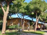 Appartamento, CASTIGLIONE DELLA PESCAIA, 530.000 €, 150,00 mq