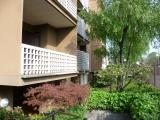 Affitto, Appartamento, MONZA, 1.000 €, 118,00 mq
